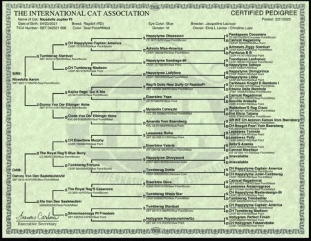 Jupiter pedigree
