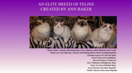 Ragdoll Breed Seminar