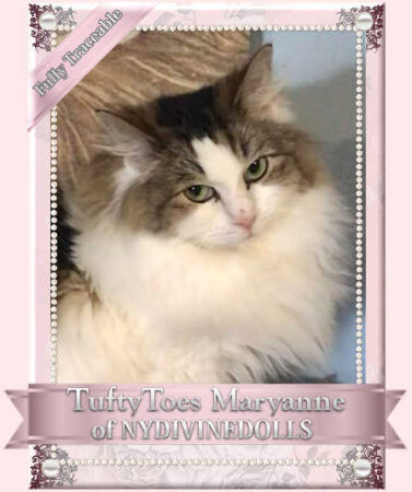 TuftyToesMaryanne1