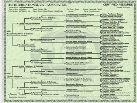 Maryanne certified pedi