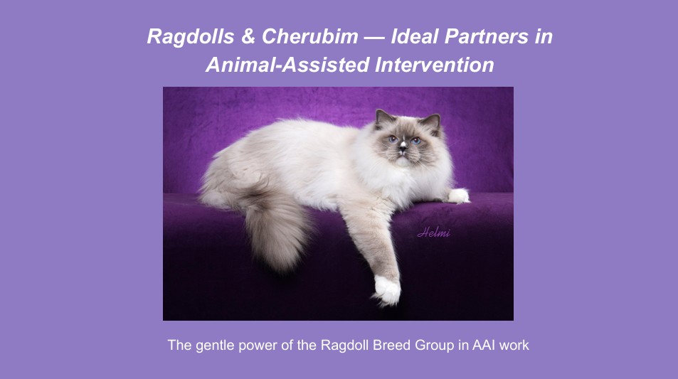 Ani,al Assited Intervention