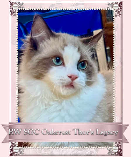 Oakcrest Thor Legacy