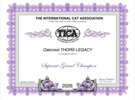 oak crest ticqa sgc